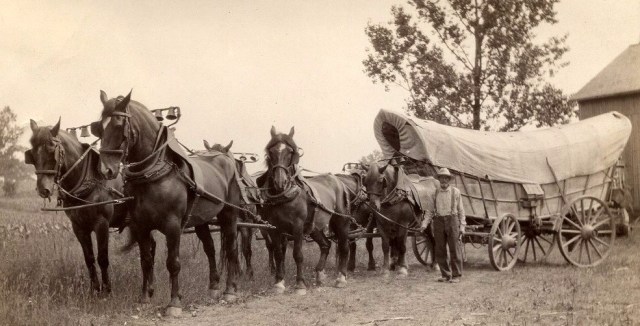 conestoga-wagon-farmer-john-shreiner-and-his-conestoga-wagon-lancaster-county-pa-circa-1910.jpg