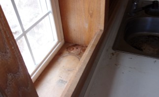 KODAK Digital Still Camera